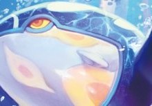 Banner Inferior